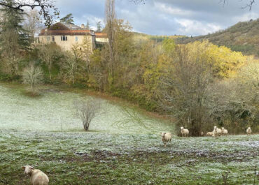 L'automne est passé aux Jardins d'Henri Martin
